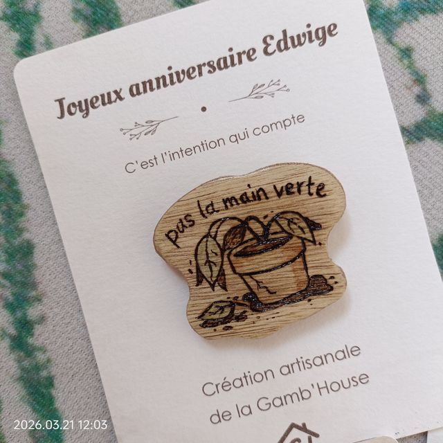Pin's / Broche - Pas la main verte
